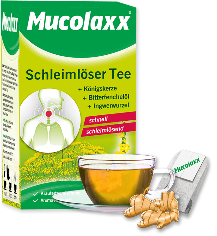 Mucolaxx® Schleimlöser Tee – für Erwachsene